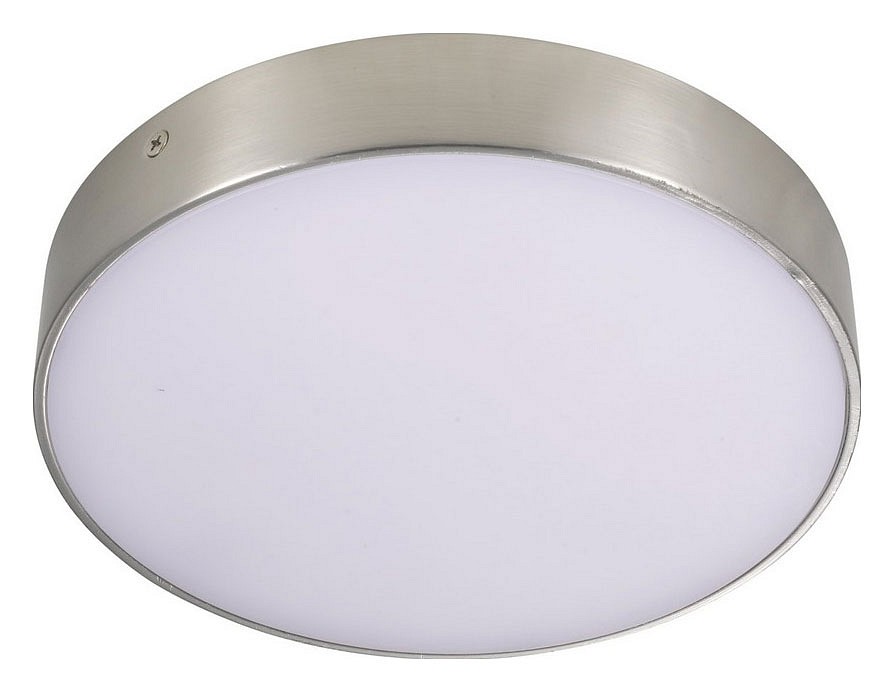 Накладной светильник Aployt Evon APL.0114.19.24 - 0