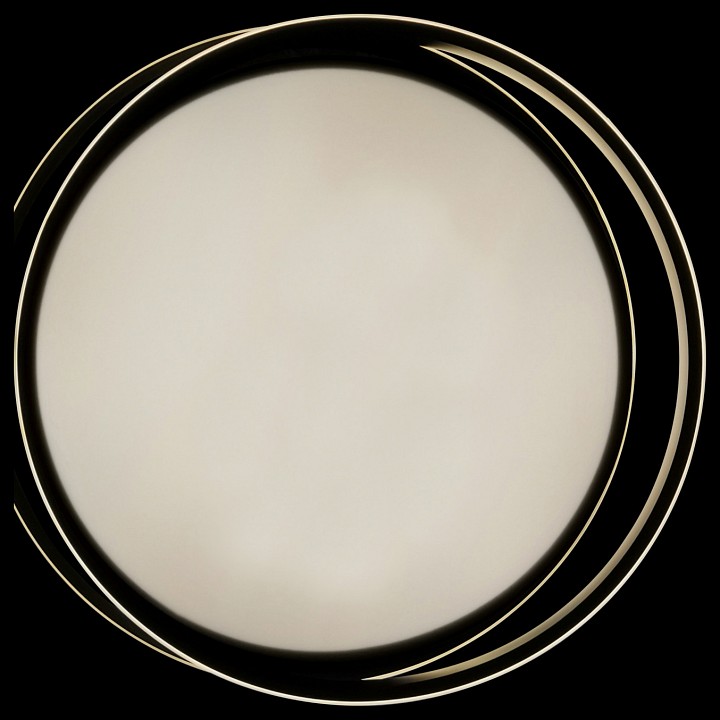 Потолочный светодиодный светильник Natali Kovaltseva 81038/5C - 4