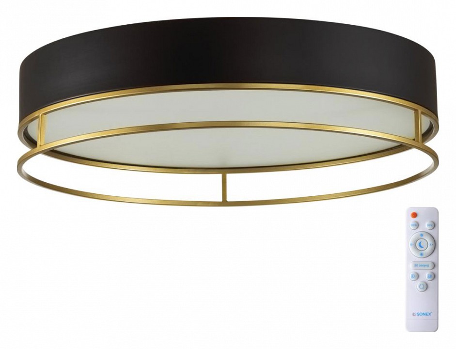 Накладной светильник Sonex Lofty 7723/100L - 1