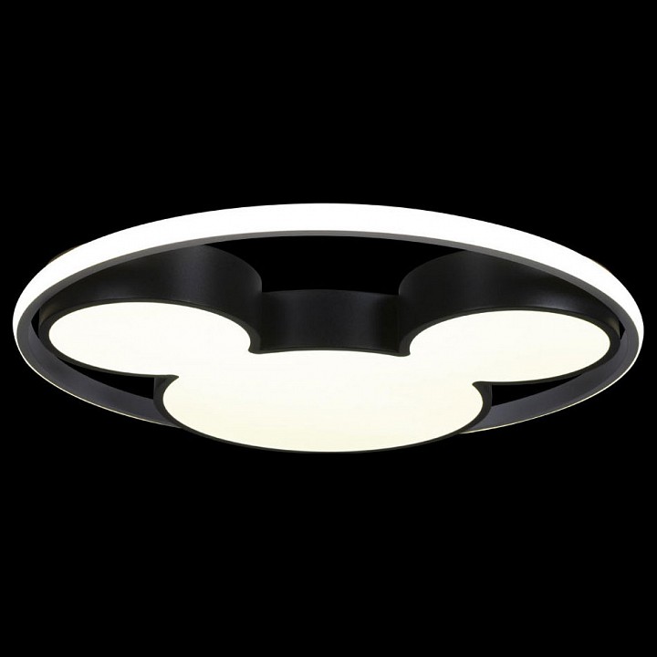 Потолочный светодиодный светильник Loft IT Mike 10166 - 3