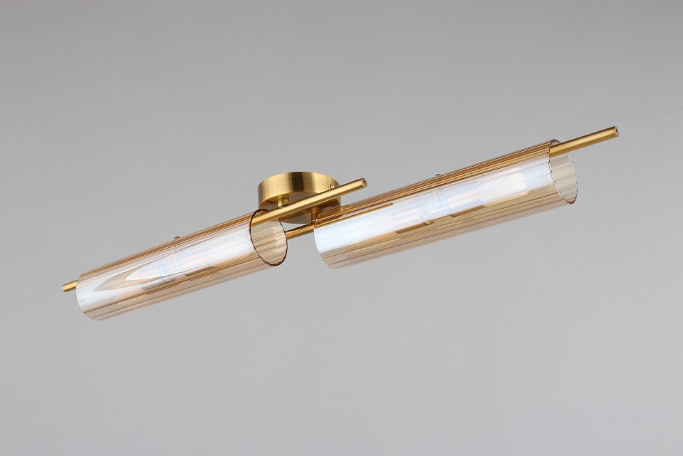 Накладной светильник Aployt Lusia APL.315.07.04 - 6