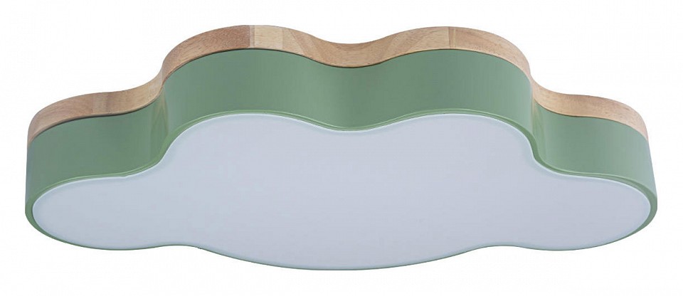 Накладной светильник Loft it Axel 4 10005/30 Green - 0