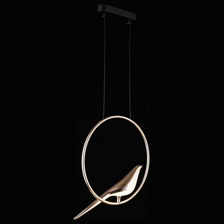 Подвесной светильник Aployt Astor APL.822.06.10 - 2