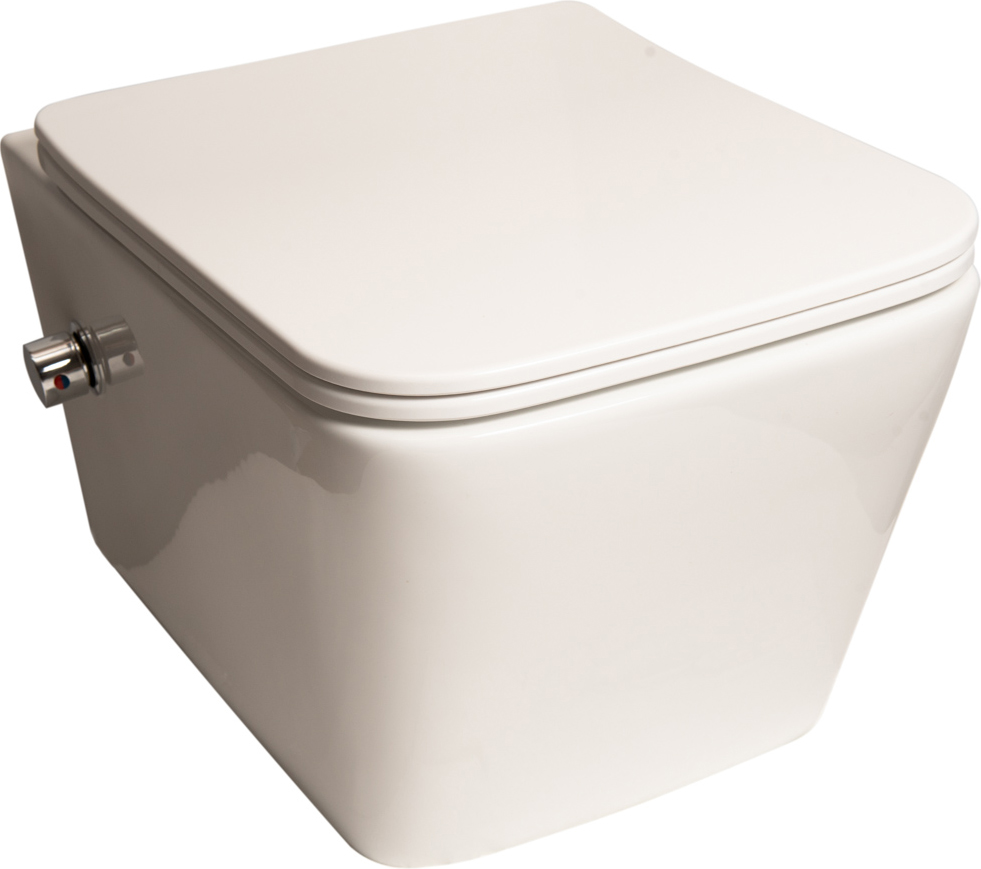 Унитаз подвесной SantiLine SL-5004SM-BD безободковый, с микролифтом - 0