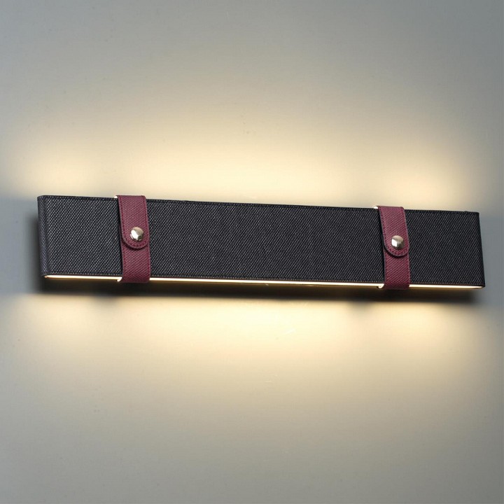 Накладной светильник Odeon Light Vincent 6629/25WL - 3