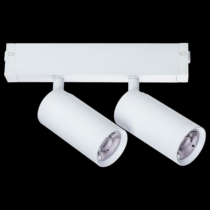 Светильник на штанге Lightstar Teta 205506 - 2