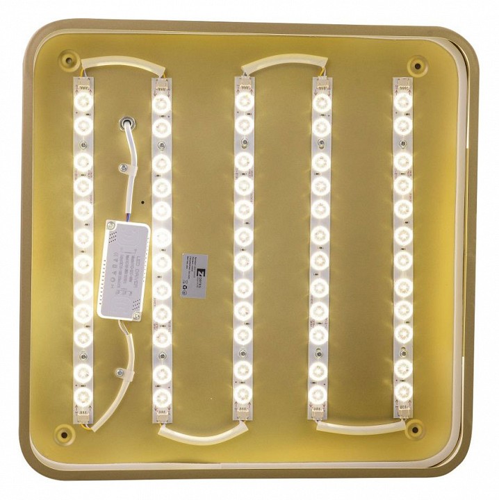 Накладной светильник Zortes Gabby ZRS.1215.03 - 2