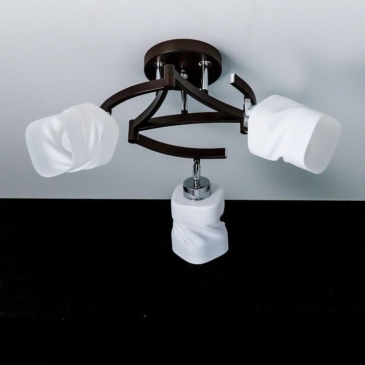 Потолочная люстра Citilux Берта CL126132 - 5