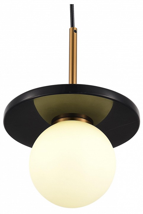 Подвесной светильник ST-Luce Nebula SL1191.343.01 - 0