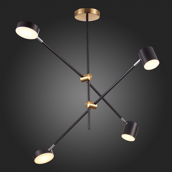 Люстра на штанге ST-Luce Rodrigo SL1604.432.04 - 5