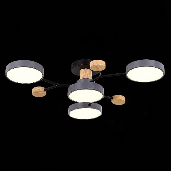 Потолочная люстра EVOLUCE Faema SLE6006-702-04 - 3