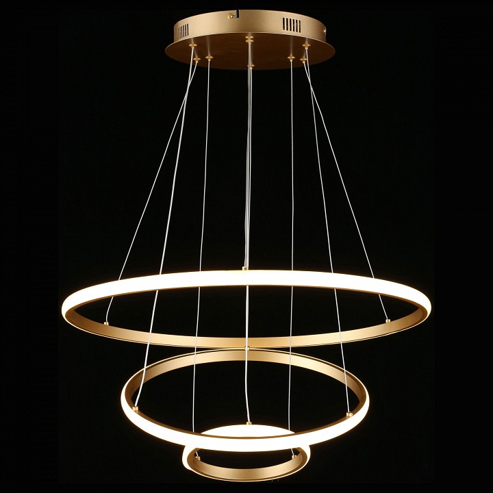 Подвесной светильник Aployt Janina APL.018.13.60 - 3