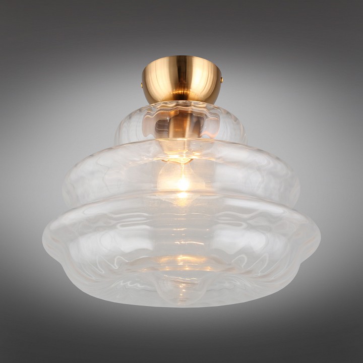 Накладной светильник Aployt Liana APL.303.07.01 - 9