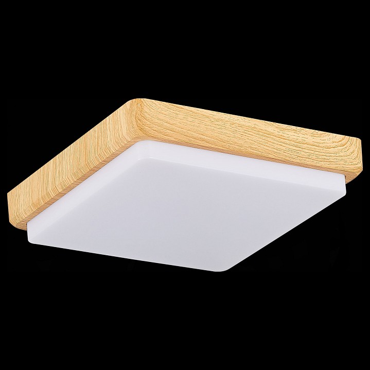 Накладной светильник EVOLUCE Taddio SLE200202-01 - 3