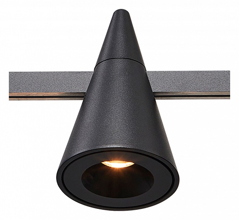 Светильник на штанге ST-Luce Farm ST813.406.05 - 3