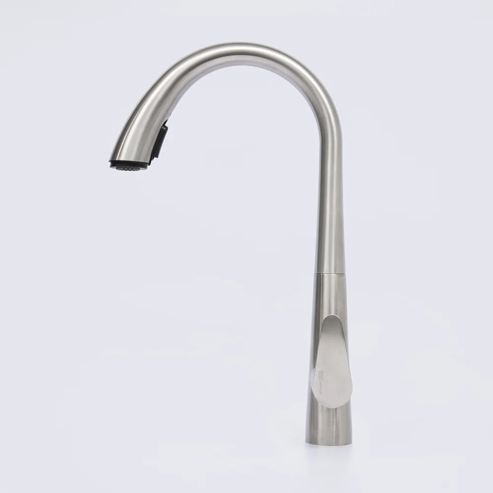 Смеситель для кухни Wasserkraft нержавеющая сталь A8617 - 1