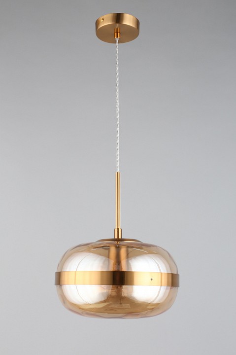 Подвесной светильник Aployt Gabriela APL.305.16.01 - 5
