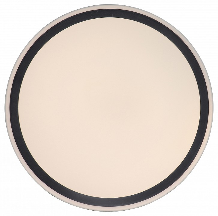 Накладной светильник Zortes BELLA ZRS.1201.11 - 2