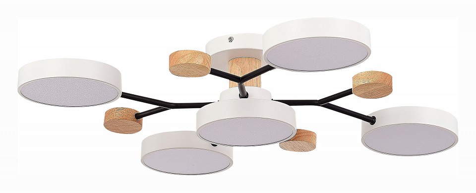 Потолочная люстра EVOLUCE Faema SLE6006-502-05 - 0