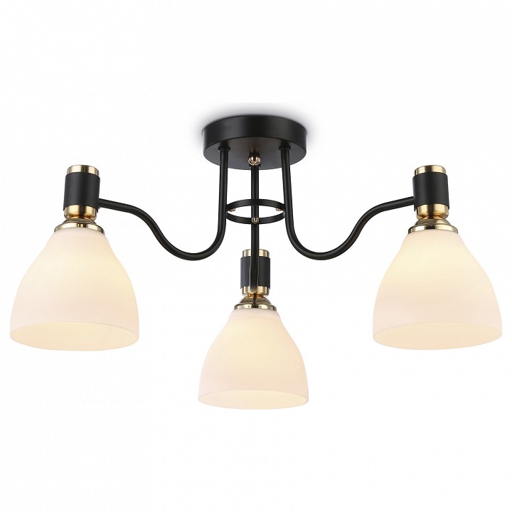 Потолочная люстра Ambrella Light TR TR303303 - 0