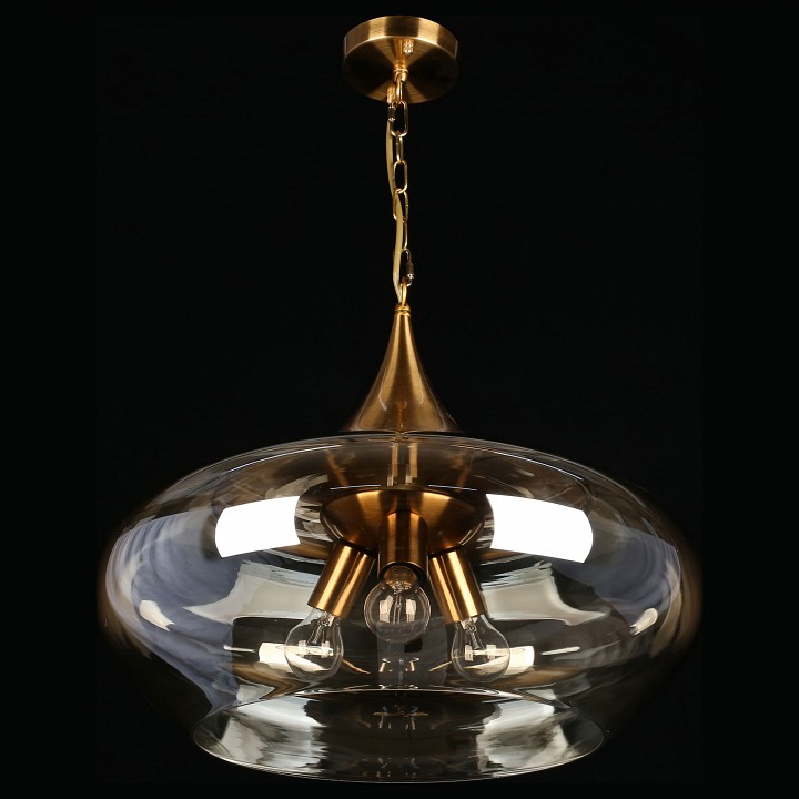 Подвесной светильник Aployt Franko APL.601.06.03 - 4