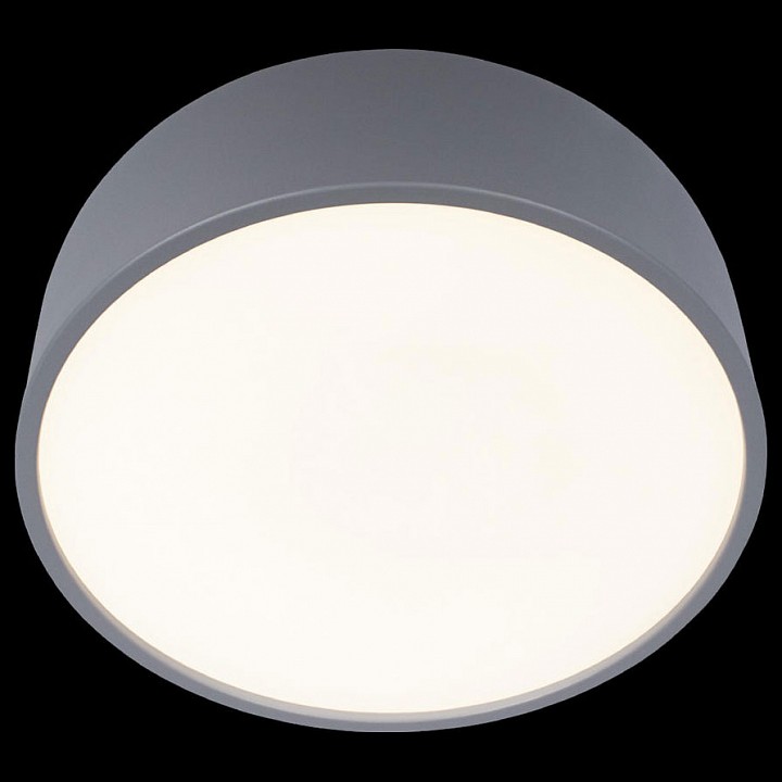 Накладной светильник Loft it Axel 10201/350 Grey - 4