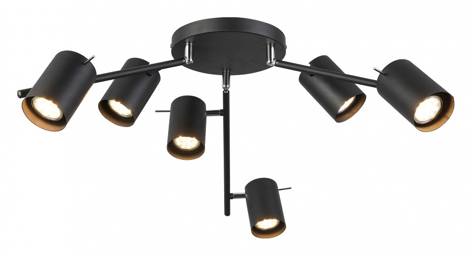 Потолочная люстра ST-Luce Fanale SL597.402.06 - 0