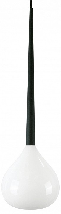 Трековый светильник Lightstar Forma (808110+595007) PRO808110 - 0