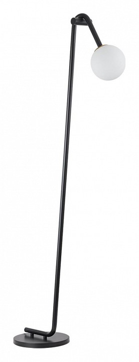 Торшер Lumion Dexter 6500/1F - 0