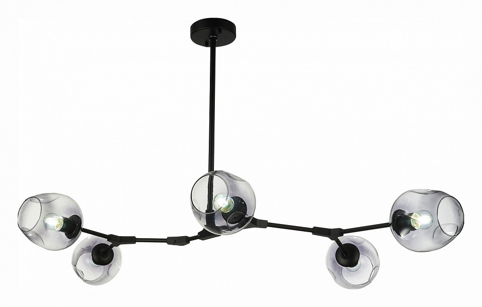 Подвесная люстра EVOLUCE Rametto SLE154843-05 - 0