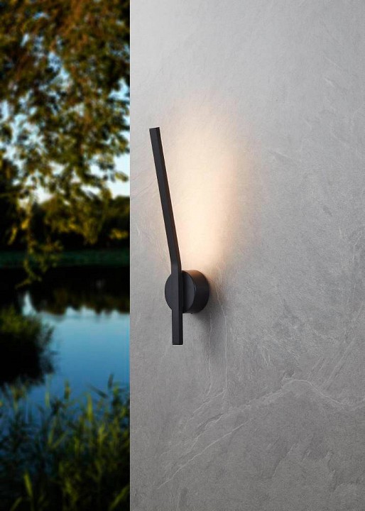 Уличный настенный светодиодный светильник Eglo Taparita 900681 - 1