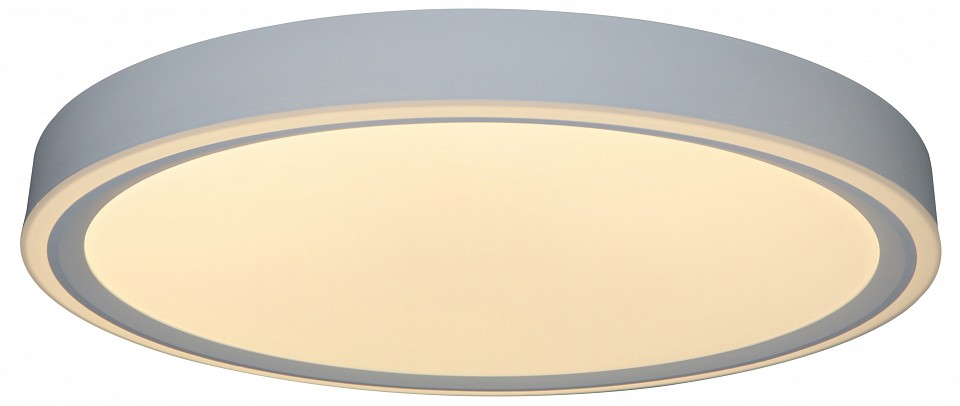 Накладной светильник Zortes BELLA ZRS.1200.07 - 2