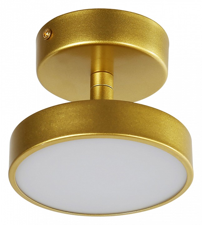 Светильник на штанге F-promo Atma 3059-1P - 0