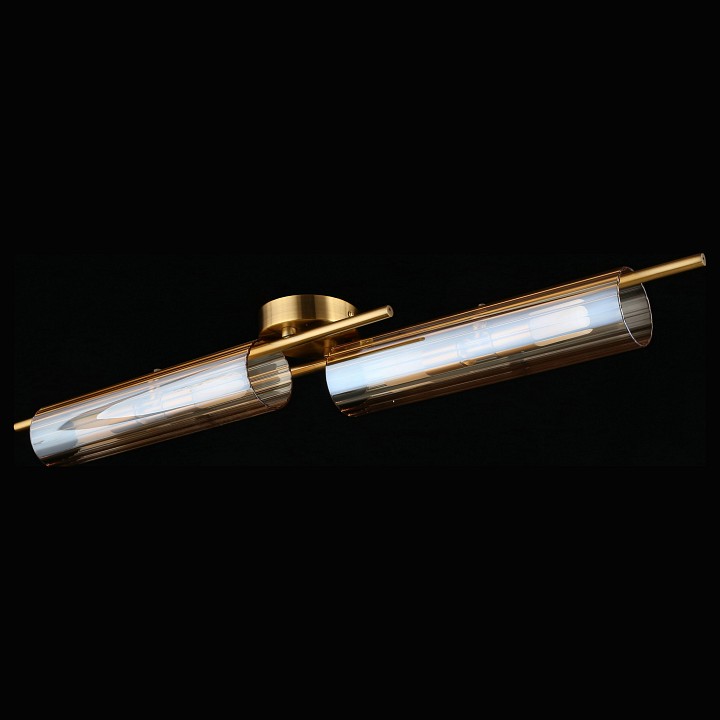 Накладной светильник Aployt Lusia APL.315.07.04 - 3