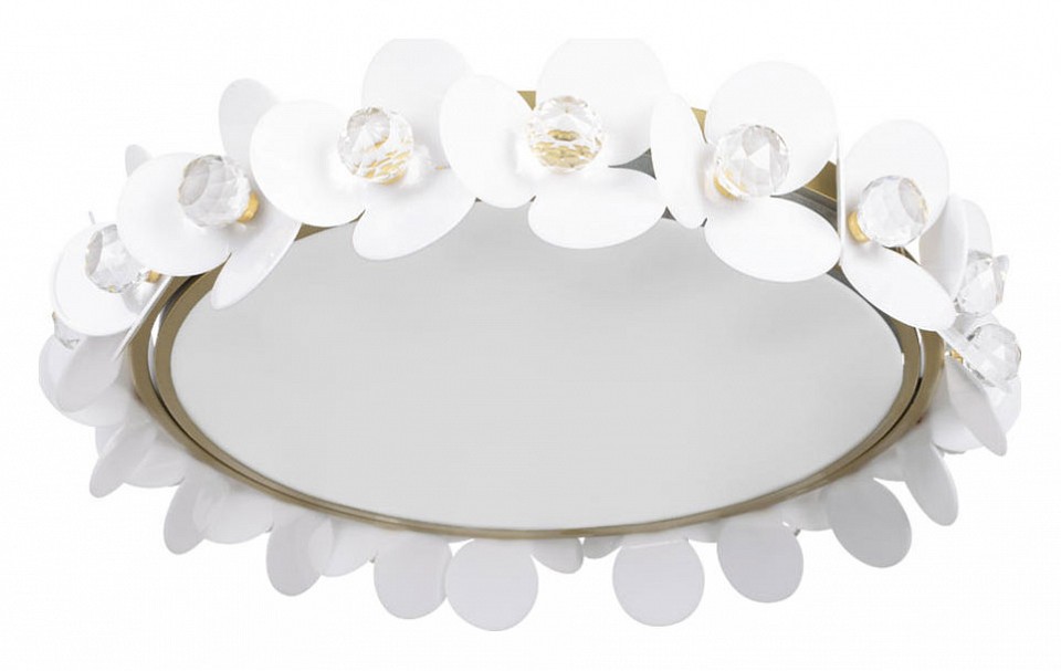 Потолочный светодиодный светильник Loft IT Bride 10175 - 0