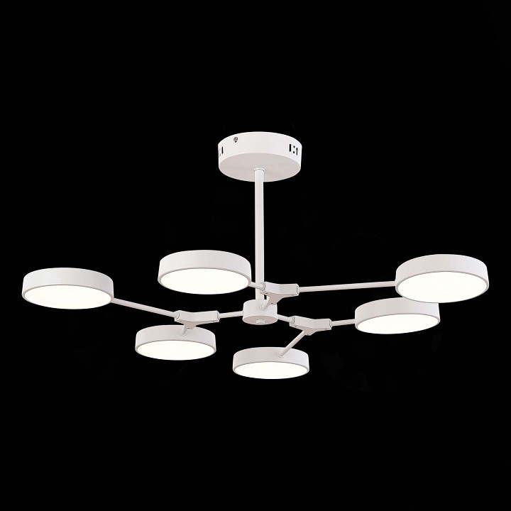 Люстра на штанге EVOLUCE Monta SLE6003-502-06 - 4