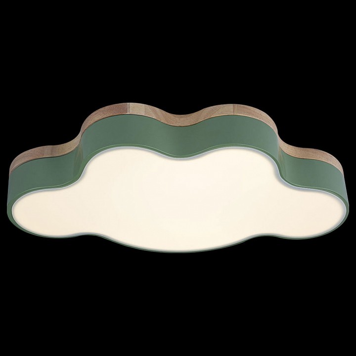 Накладной светильник Loft it Axel 4 10005/30 Green - 2