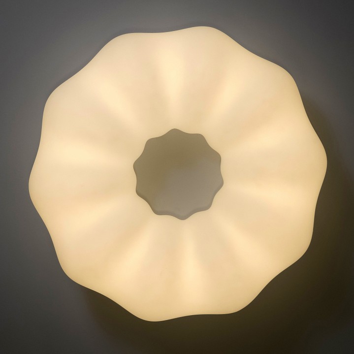 Накладной светильник Zortes SOFT ZRS.1118.4 - 10