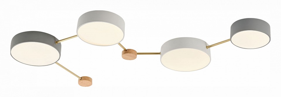 Накладной светильник EVOLUCE Dossena SLE600102-04 - 0