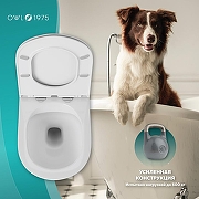 Унитаз Owl 1975 Vind Ruta-H TOWLT190304 подвесной с сиденьем Микролифт - 5