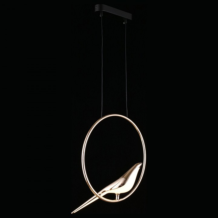 Подвесной светильник Aployt Astor APL.822.06.10 - 10