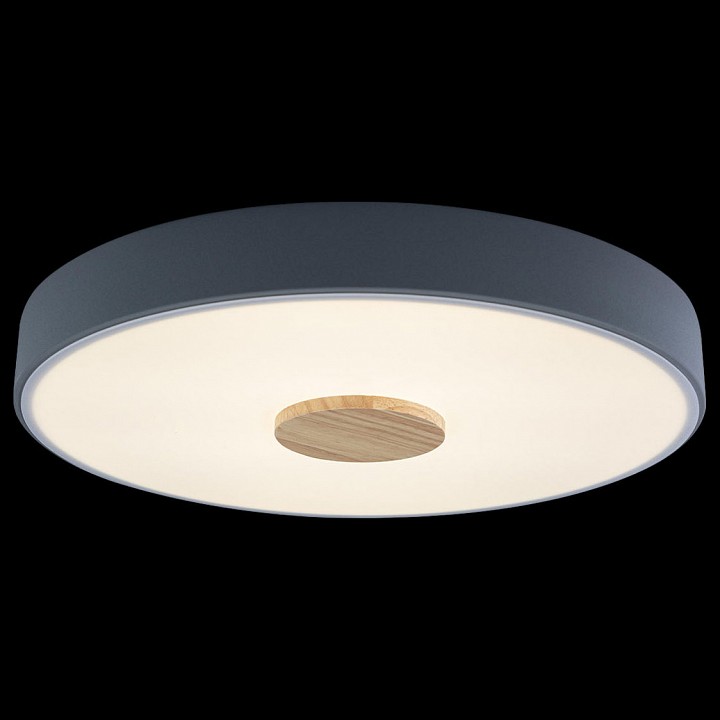 Накладной светильник Loft it Axel 2 10003/24 Grey - 2