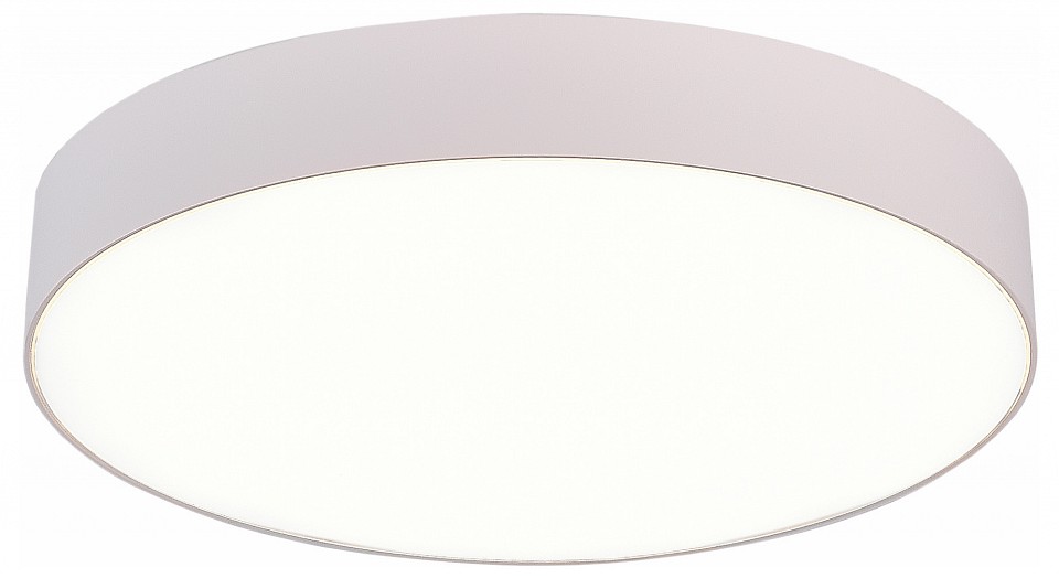 Накладной светильник ST-Luce ST606 ST606.542.48 - 0