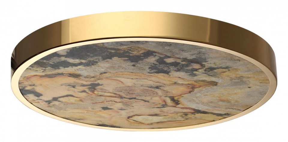 Накладной светильник Odeon Light Bergi 5079/40L - 3