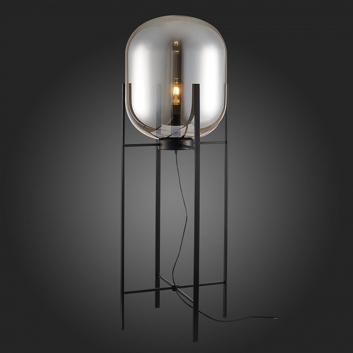 Торшер ST-Luce Burasca SL1050.725.01 - 2