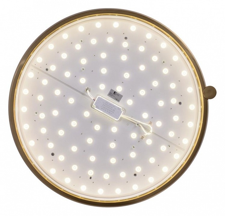 Накладной светильник Zortes Gimpel ZRS.1209.18 - 2