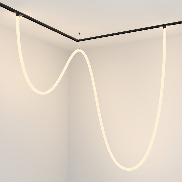 Подвесной светильник Maytoni Tau TR101-2-100W3K-B - 2