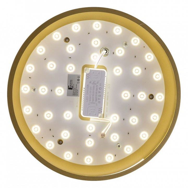 Накладной светильник Zortes Gabby ZRS.90610.30 - 2