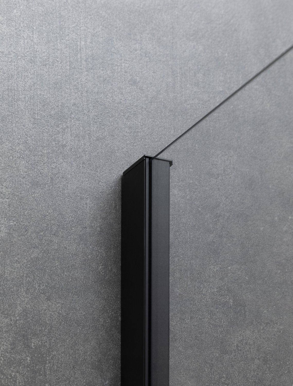 Душевая дверь в нишу Allen Brau Priority 3.31012.BBA 140 - 4