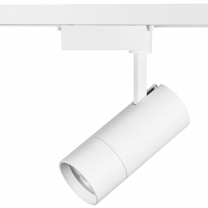 Светильник на штанге Lightstar Volta 229336 - 2